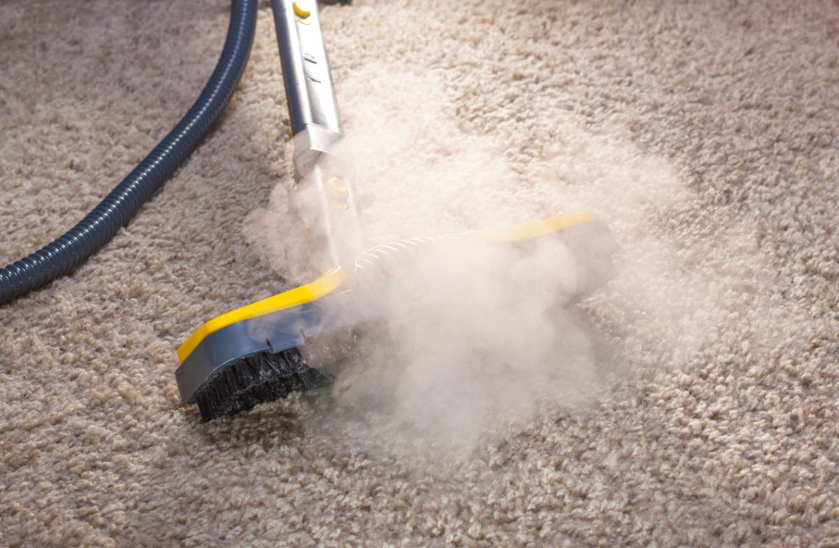 concept for why to switch to steam cleaning for a carpet