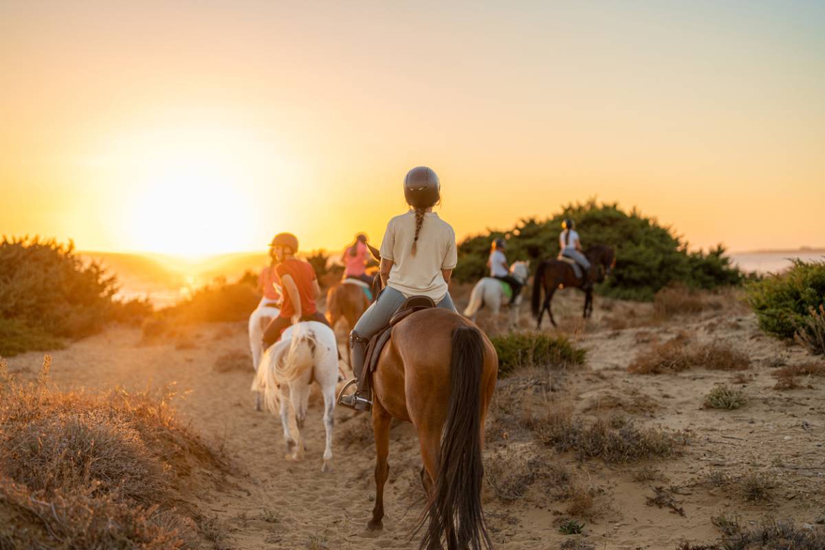 concept for how horseback riding can burn calories in sunny evening nature area