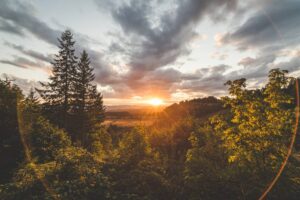 featured image for 8 things that make costa mesa so special